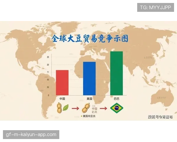 商务部回应中美大豆贸易与波音订单进展,中美大豆协议